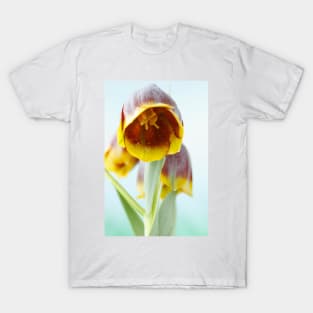 Fritillaria michailovskyi   Michailovski fritillary T-Shirt